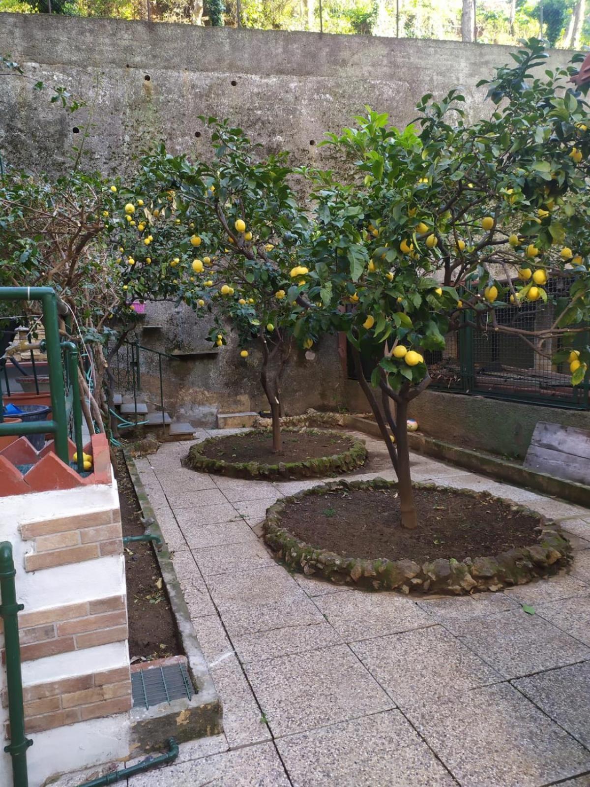Appartamento con 1 Camera da Letto
