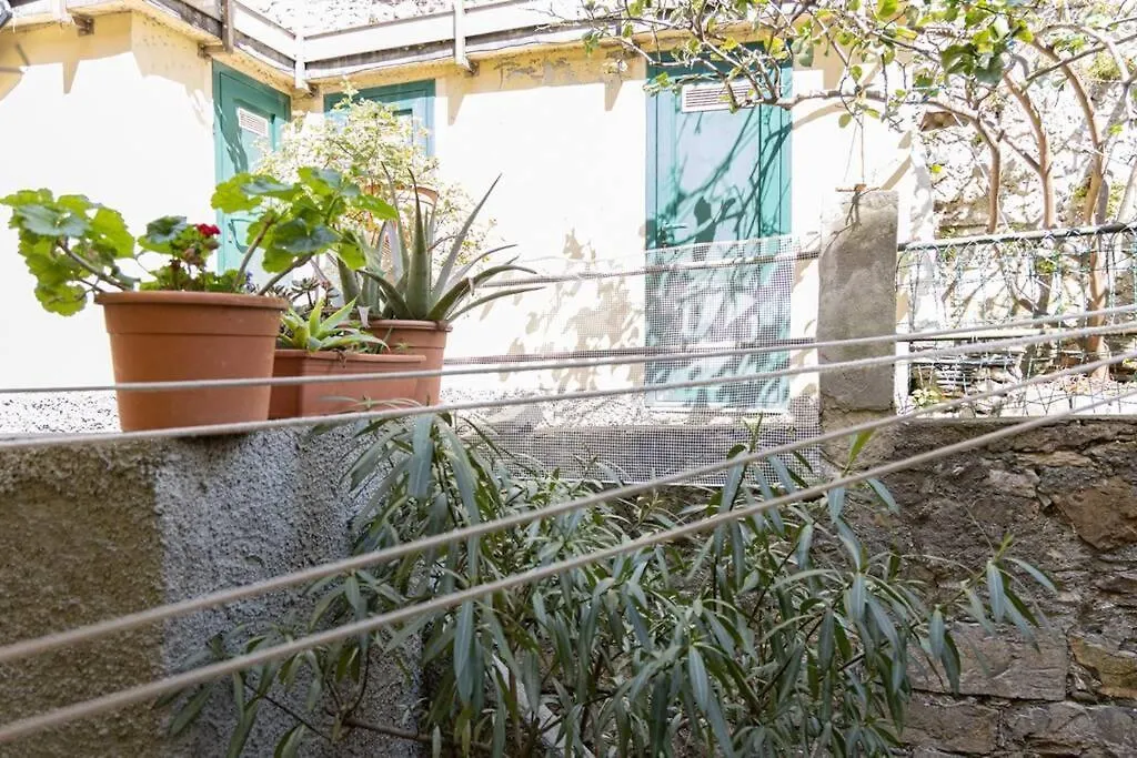 Cinque Maggio Home Di Fronte A Spiaggia E Ospedale-1