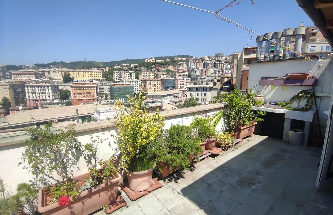 Happy House In Genova N.010025-Lt-2727-1
