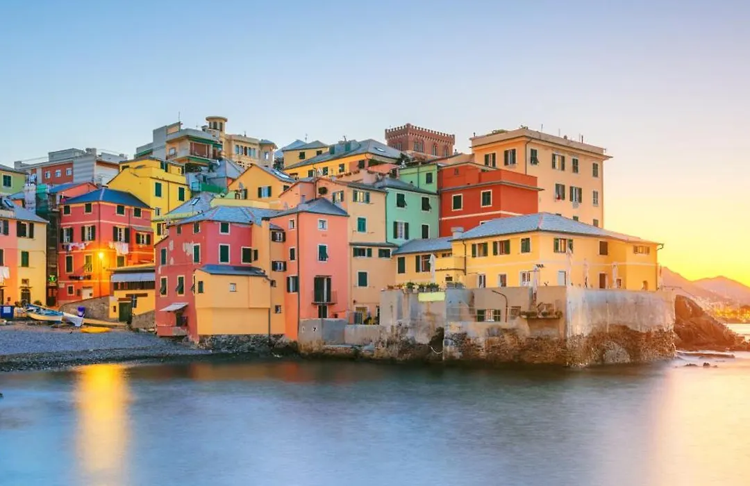 La Casa dei Gatti Matti-1