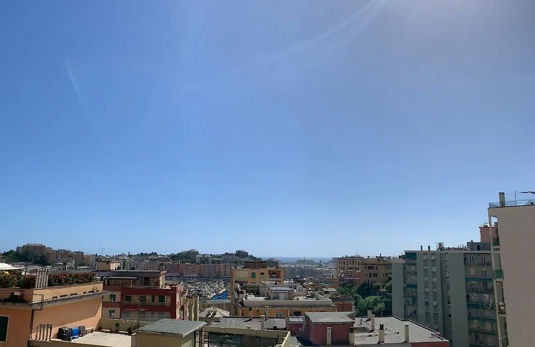 Suite Gaulli-1
