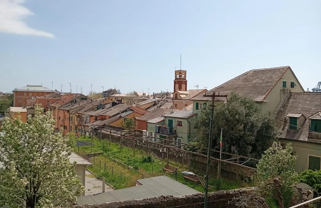 Casaluisa-1