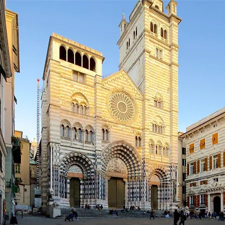 La Casa dei Gatti Matti-3