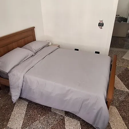 La Casa dei Gatti Matti-2