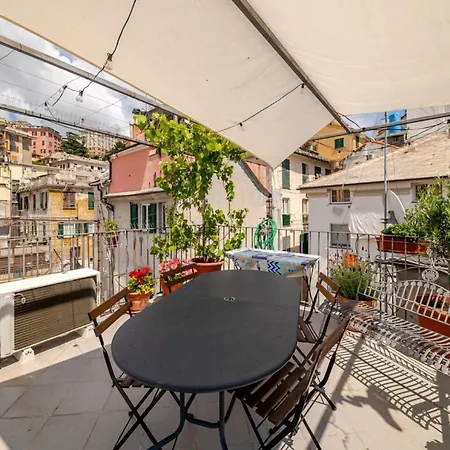 La piccionaia-3