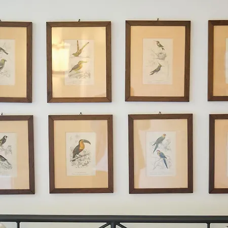 Il Nespolo di Campopisano-3