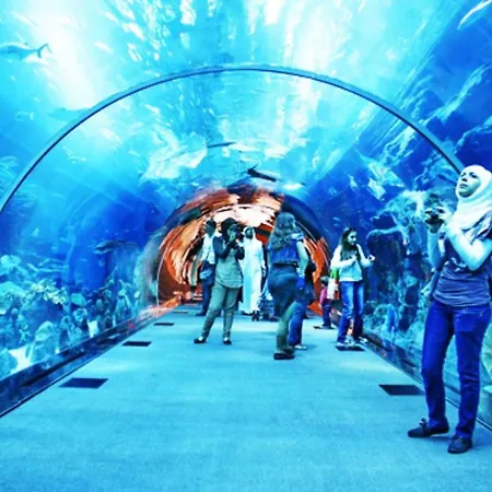 Dalla Laretta di fronte all Acquario di Genova-3