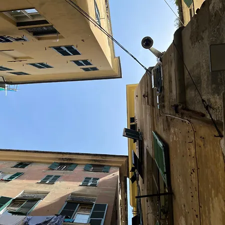 I Rolli a Genova-2