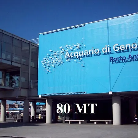 Acquario 2-3
