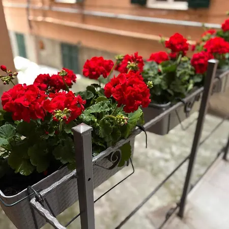 Appartamento a San Martino, Genova-2