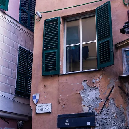 Zenamore-3