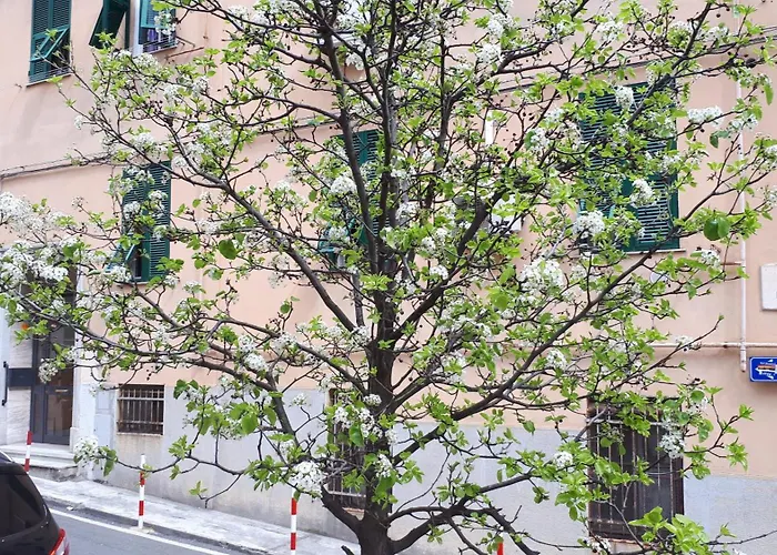 Ca'Saetta Bnb Holiday Home - Park & Go To Genoa Aquarium And Old Town