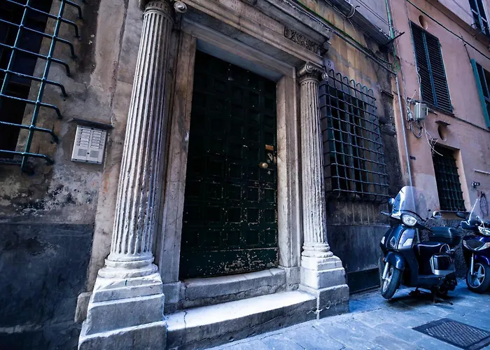 Zenamore Genova