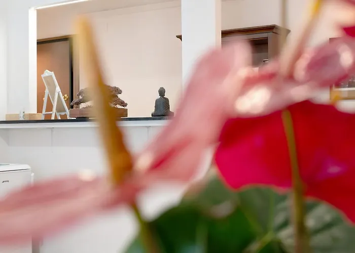 Ohana Bnb Genova