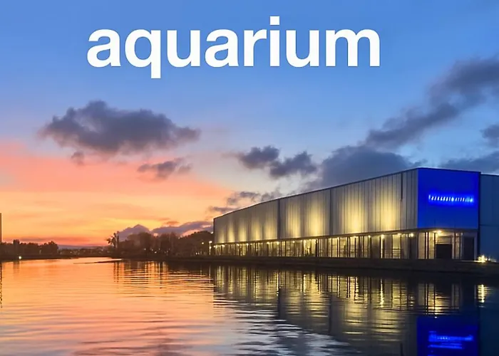 Appartamento Centro Storico Caruggi 2min Acquario Pellicceria Superior Loft Palazzo Rolli Genova